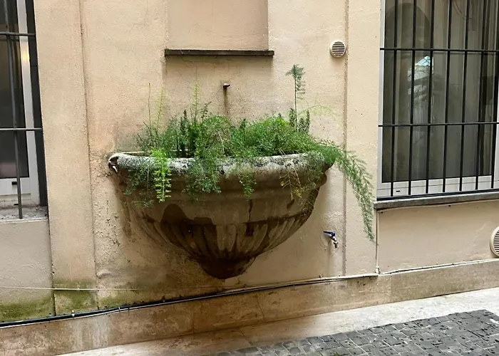 Antico